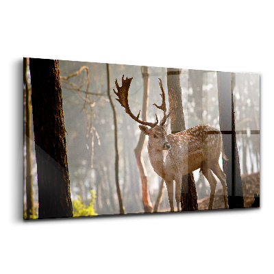 Egyedi üvegkép Szarvas a felkelő nap fényében