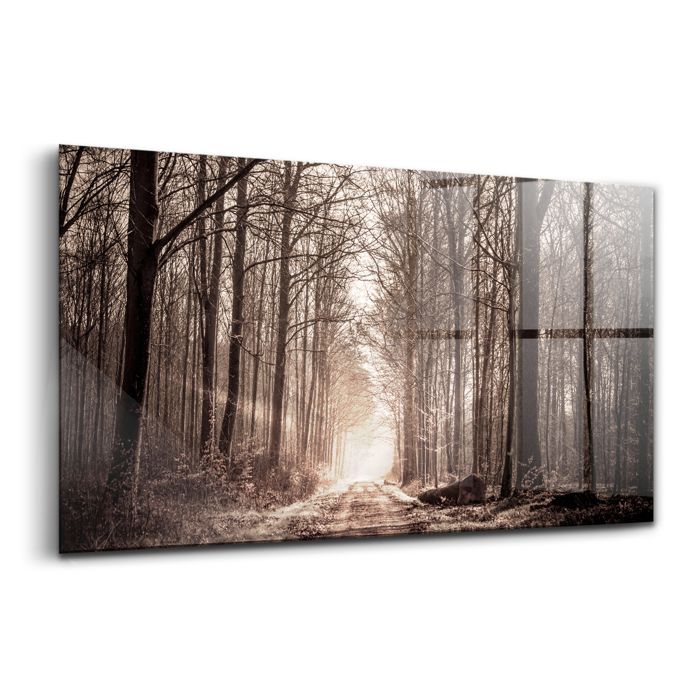Üvegkép falra Erdei út szepia színekben