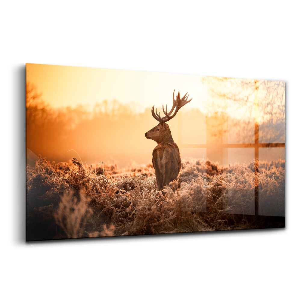 Üvegkép Szarvasok napfelkeltekor