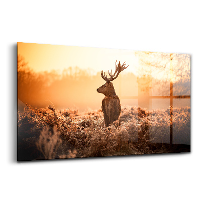 Üvegkép Szarvasok napfelkeltekor