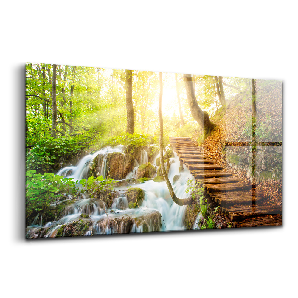 Üvegkép falra Patak erdő