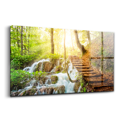 Üvegkép falra Patak erdő