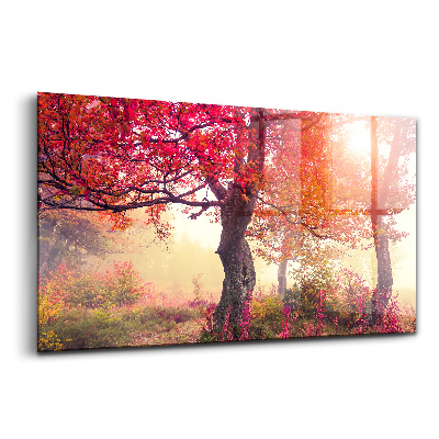 Üvegkép falra Őszi fák