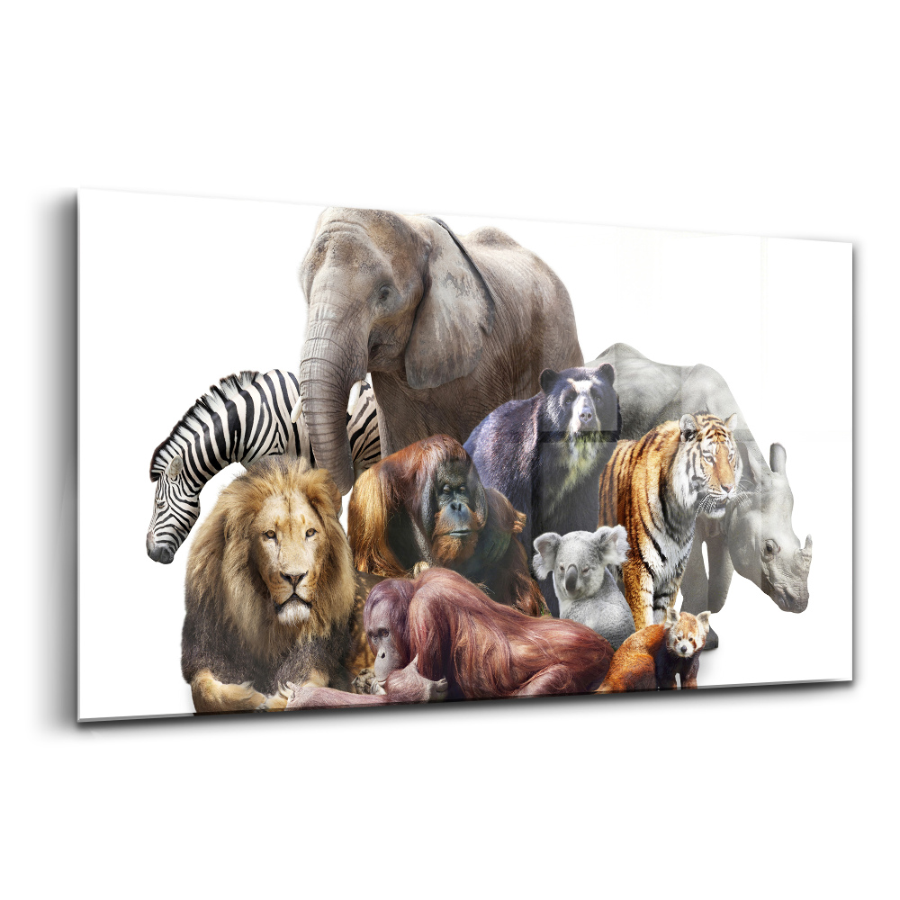 Egyedi üvegkép Vadállatok