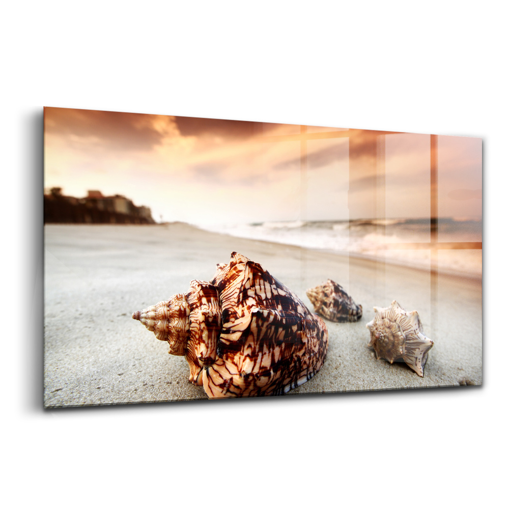 Üvegkép falra Kagyló a tengerparton