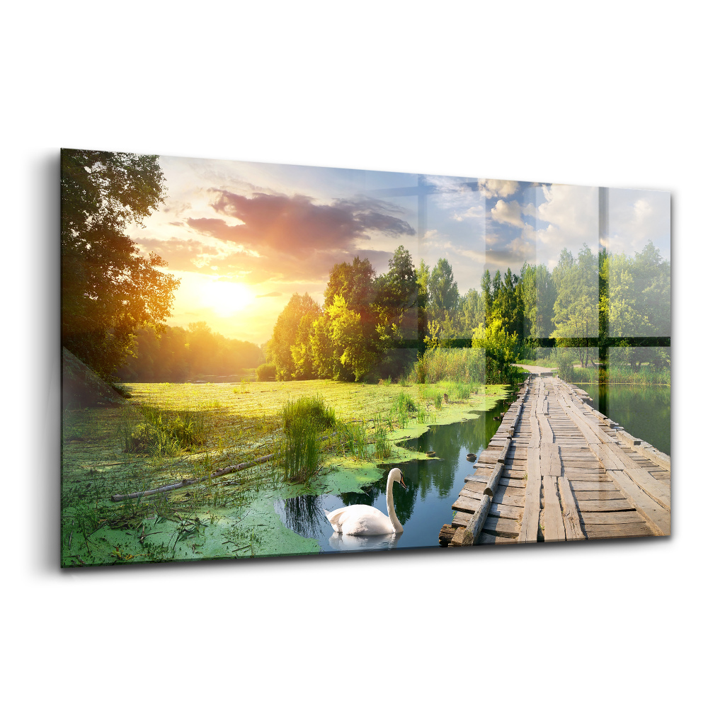 Egyedi üvegkép Hattyú naplementében