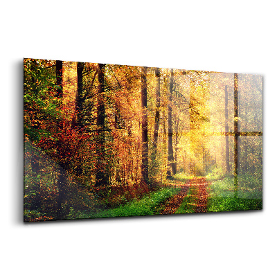 Üvegkép Őszi erdei táj
