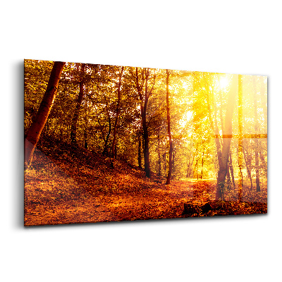 Egyedi üvegkép Tájkép egy őszi naplemente