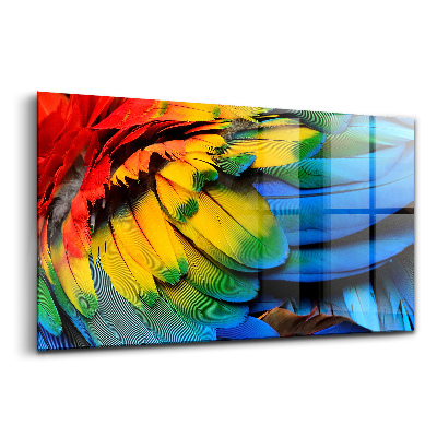 Üvegkép falra Színes szárnyú ara madár