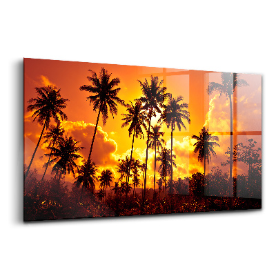 Üvegkép Pálmafák Thaiföld strand Klong Prao