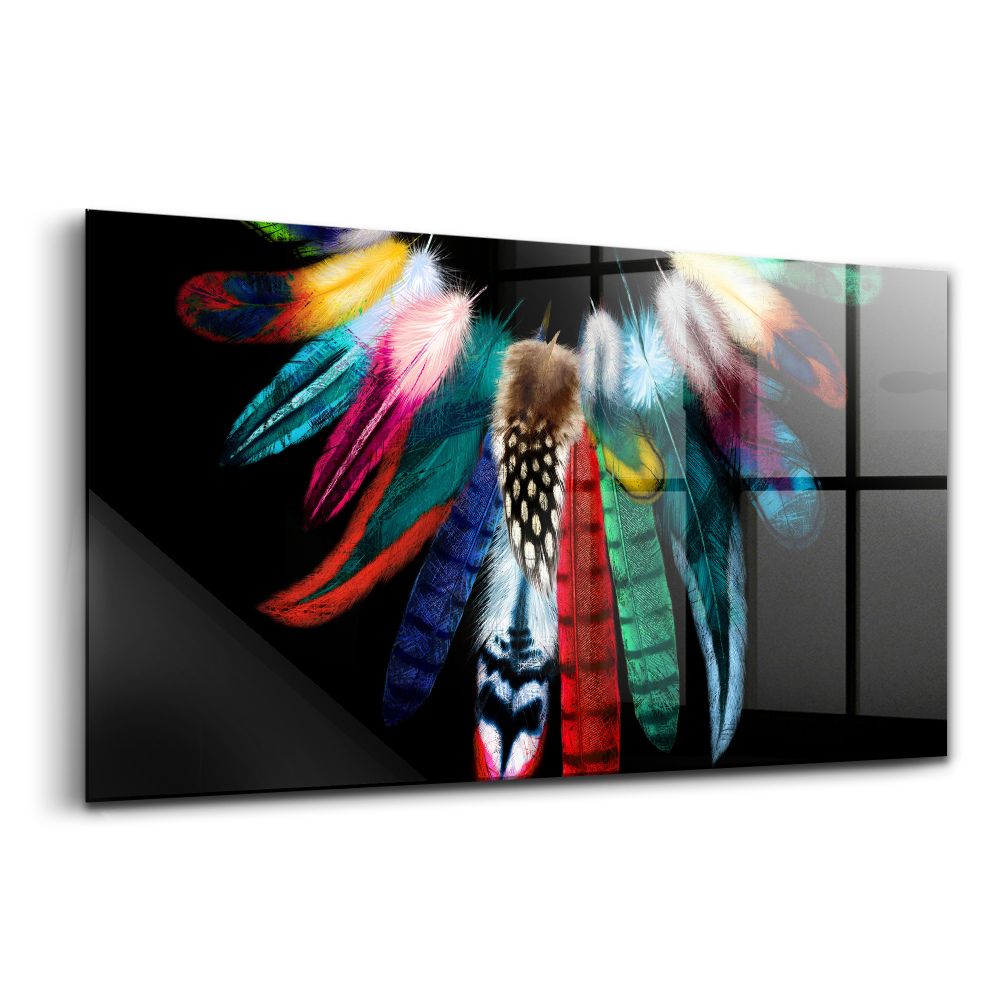 Üvegkép falra Színes madártollak