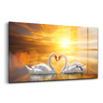 Üvegkép falra Szerelmes hattyúk