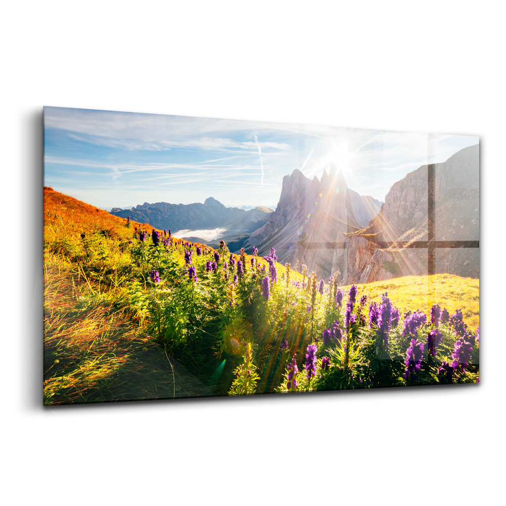 Üvegkép falra Levendula rét