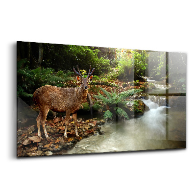 Egyedi üvegkép Trópusi patak és szambarszarvas