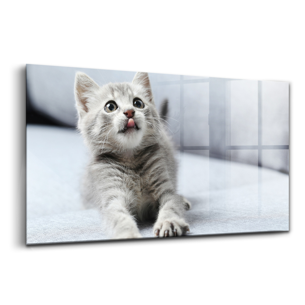 Üvegkép Gyönyörű kis macska szürke kanapén