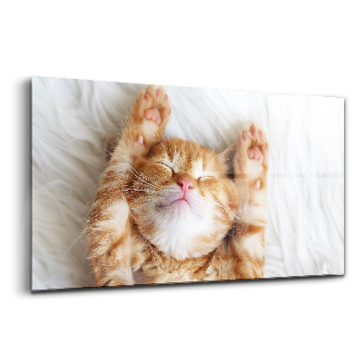 Egyedi üvegkép Kis macska alszik