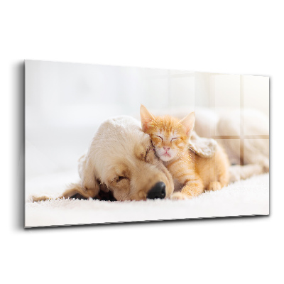 Üvegkép Alvó macska és kutya