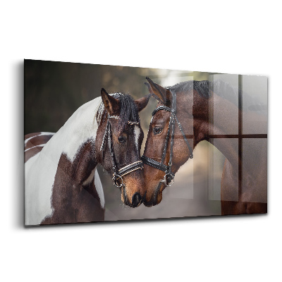 Üvegkép falra Lovak portréja egy erdei úton