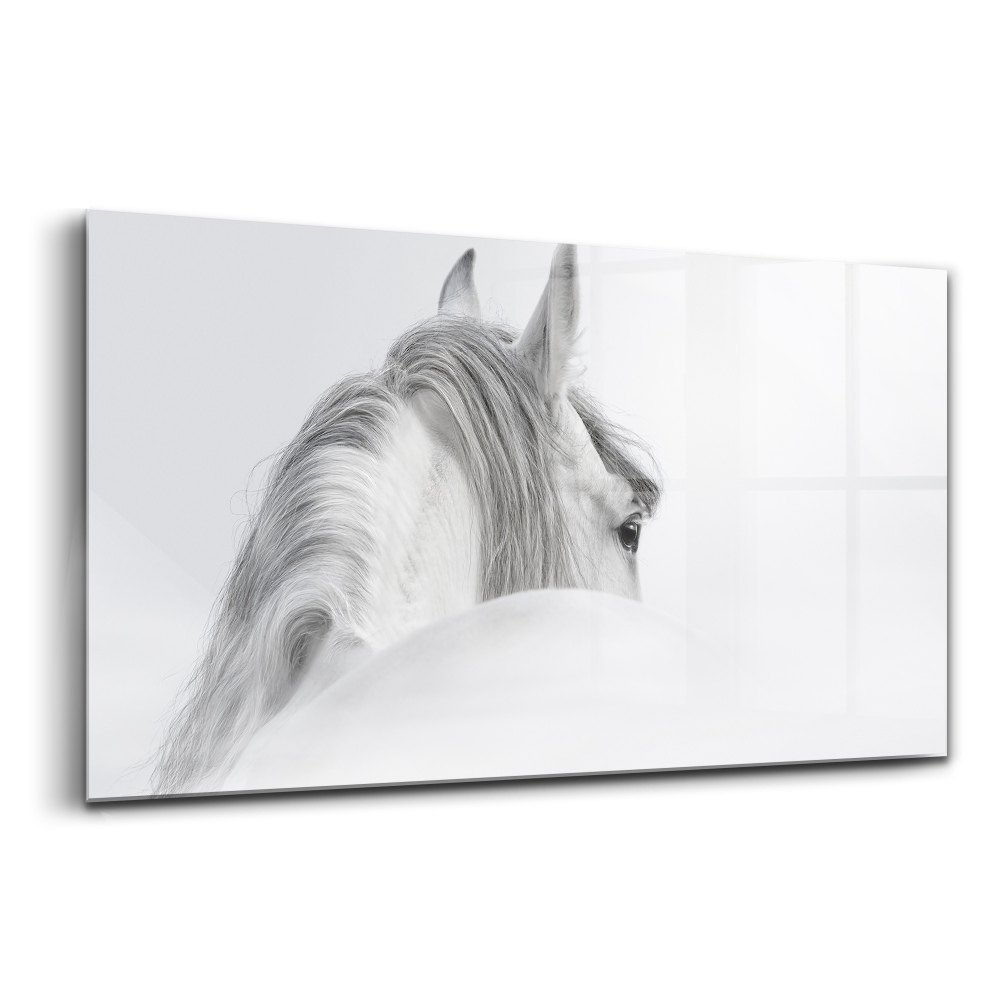 Egyedi üvegkép Andalúziai ló a ködben