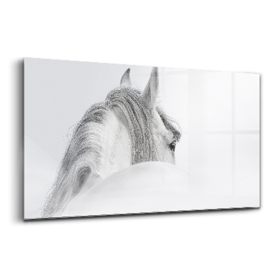 Egyedi üvegkép Andalúziai ló a ködben