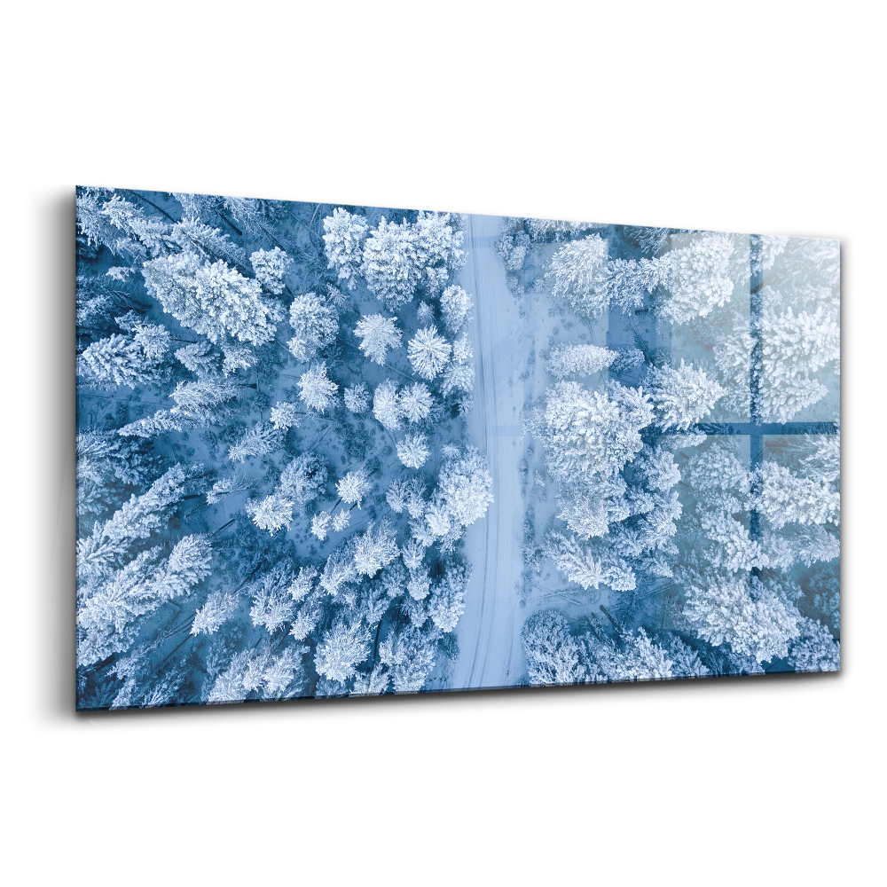 Üvegkép falra Erdő madártávlatból drónnal