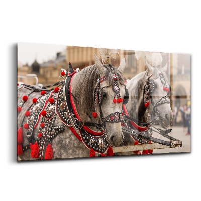 Üvegkép Gyönyörű lovak Krakkó központjában