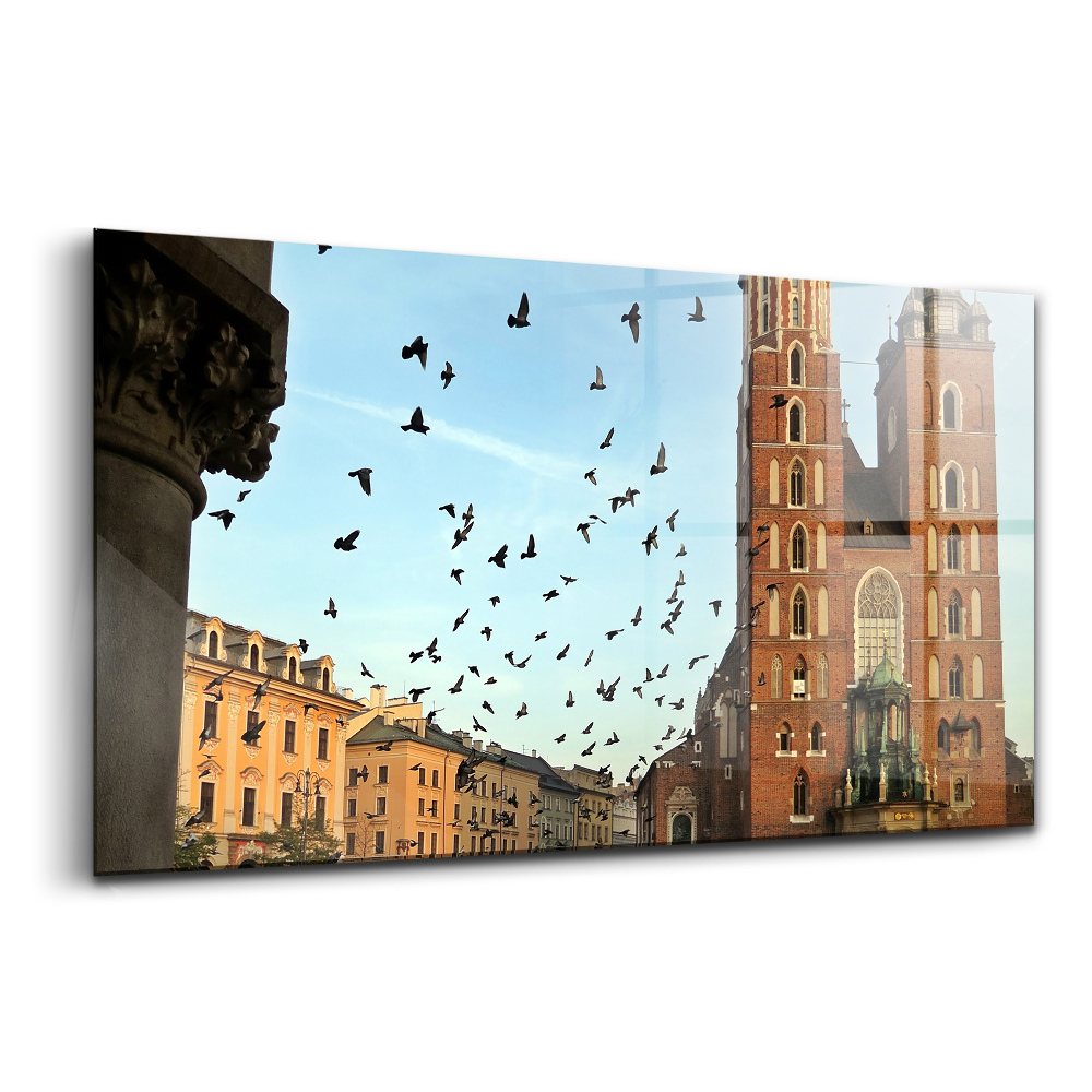 Üvegkép falra Galambok Krakkó városában