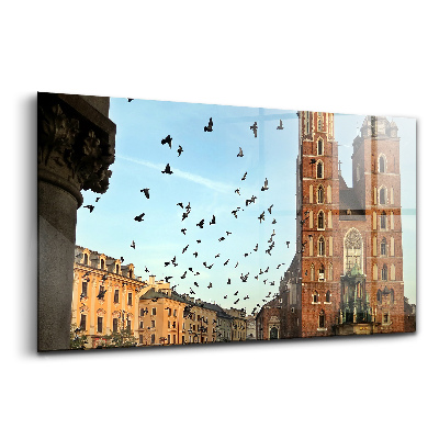 Üvegkép falra Galambok Krakkó városában