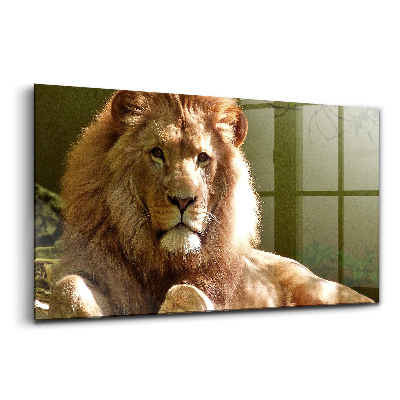 Üvegkép Portré egy oroszlán vadállat