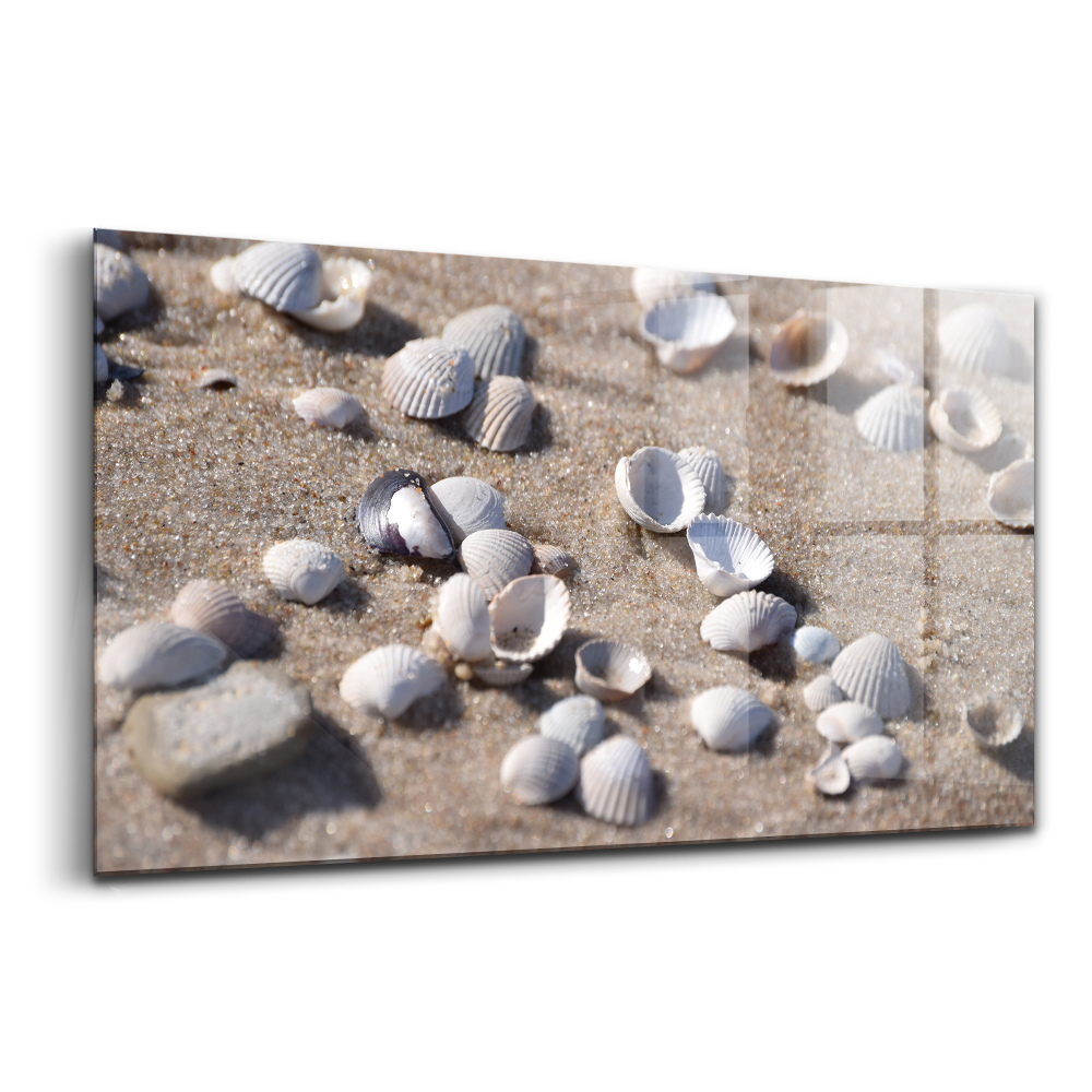 Üvegkép falra Kagylók a tengerparton