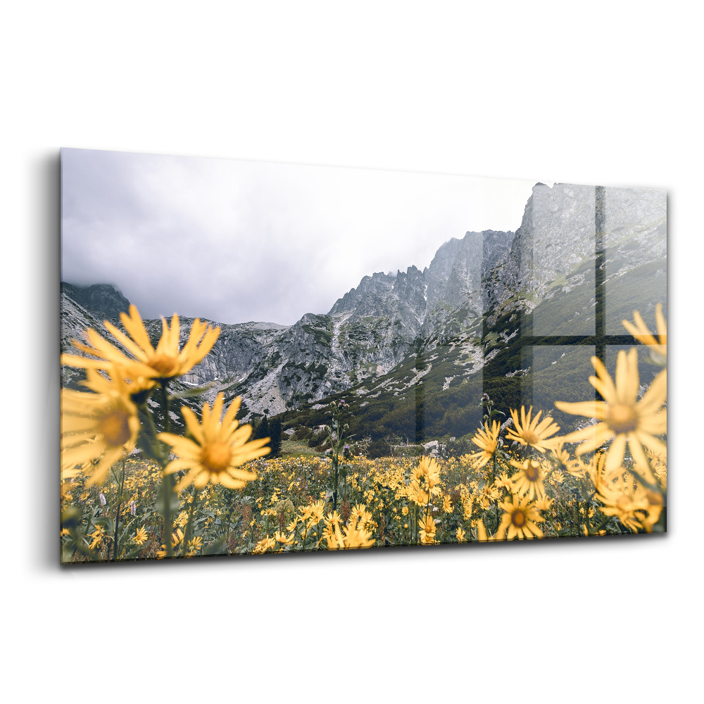 Egyedi üvegkép rét virágai a tátrai hegyekben