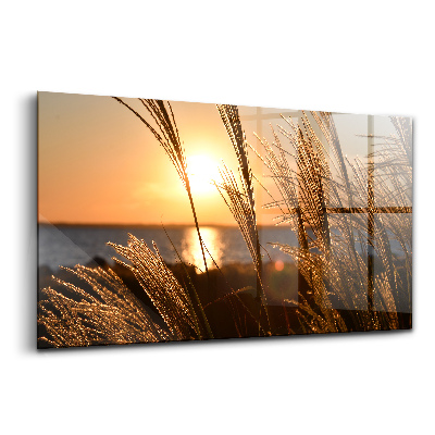 Egyedi üvegkép Búza az arany órában
