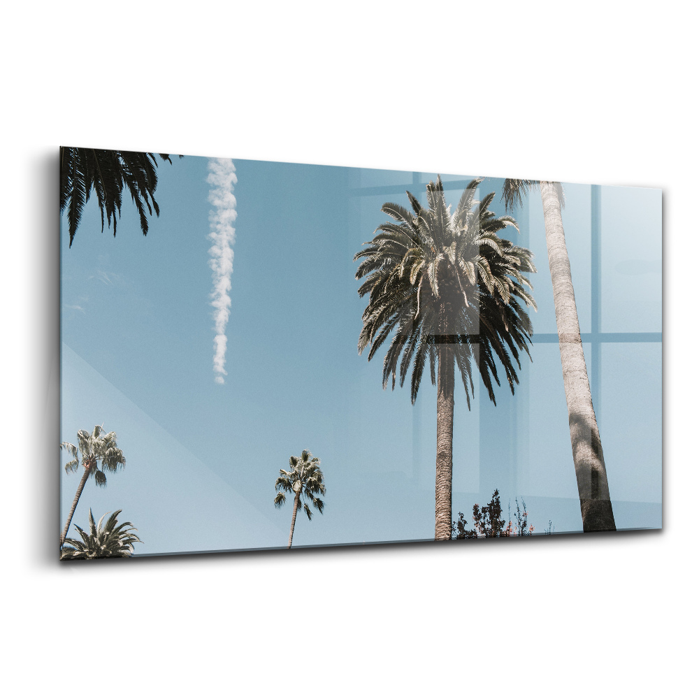 Üvegkép Pálmafák Los Angelesben