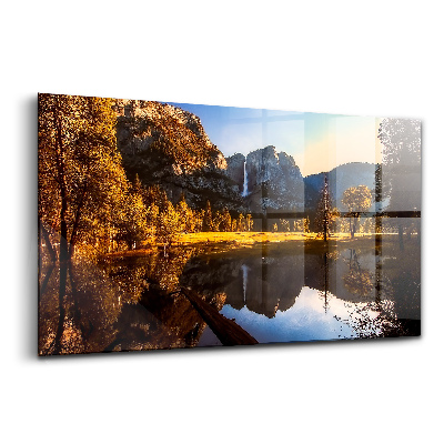 Egyedi üvegkép Erdő a yosemite parkban