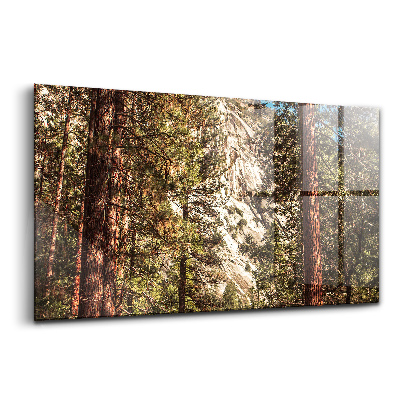 Üvegkép Erdő a yosemite-völgyben