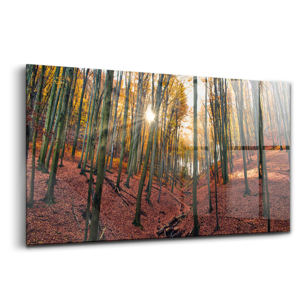 Egyedi üvegkép Naplemente és fák