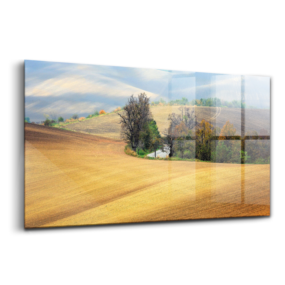 Üvegkép falra Morva vidék