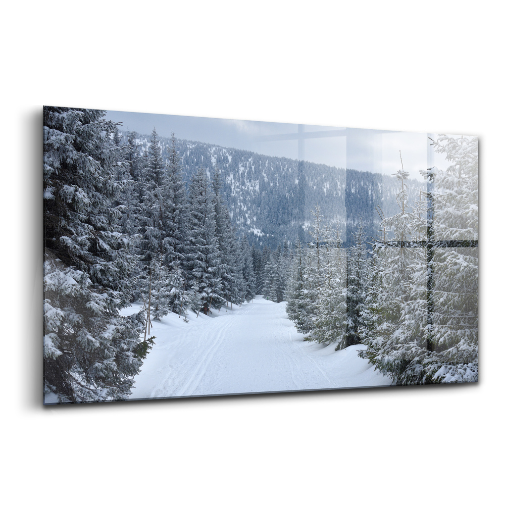 Üvegkép Cseh óriás hegyek télen