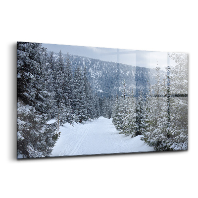 Üvegkép Cseh óriás hegyek télen