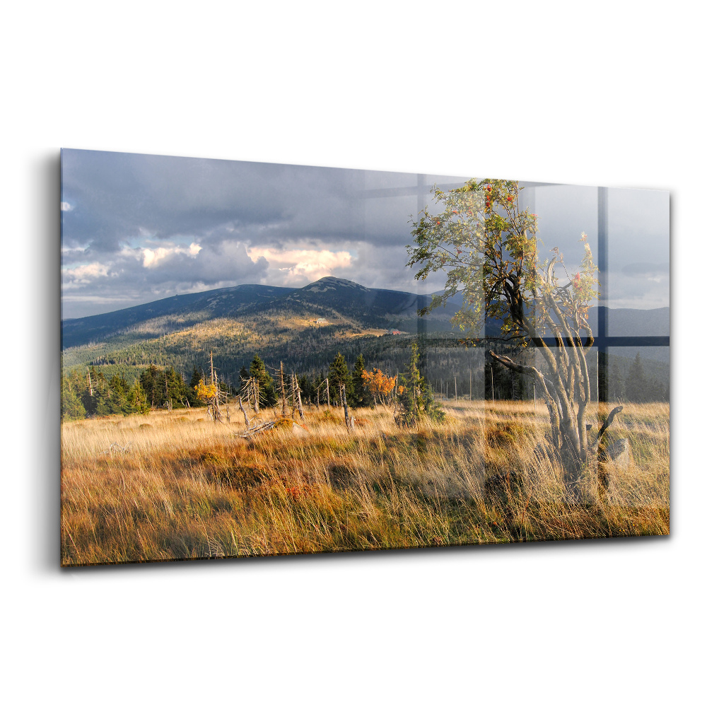 Üvegkép falra Óriáshegység ősszel