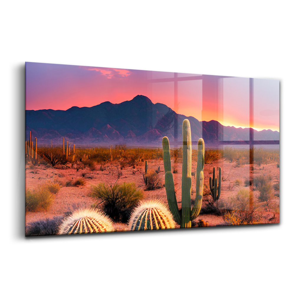 Üvegkép Naplemente a sivatagban