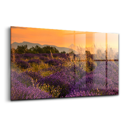 Egyedi üvegkép Levendula rét Provence Franciaország