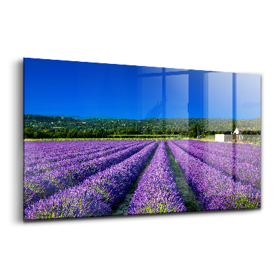 Üvegkép falra Levendulamező Provence-ban