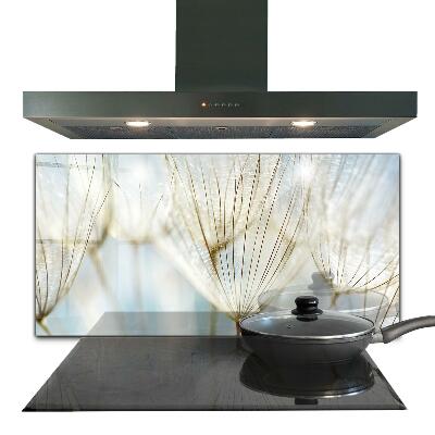 Konyhai fali panel Dandelion seeds close-up