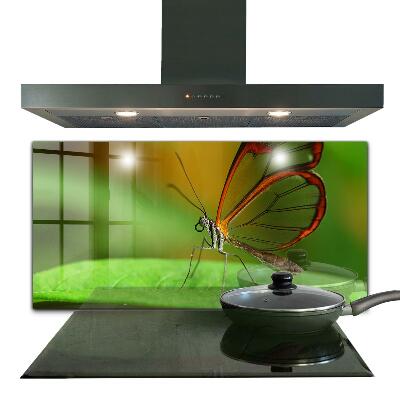 Konyhai panel Pillangó a zöld háttér előtt