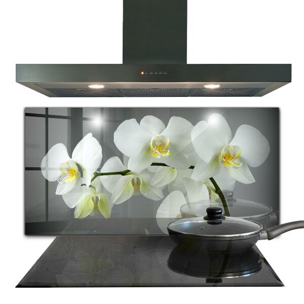 Konyhai fali panel Orchidea mintázat