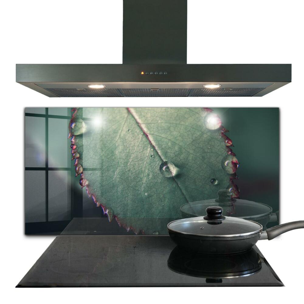 Konyhai hátfal panel Cseppvizes levél mintázat