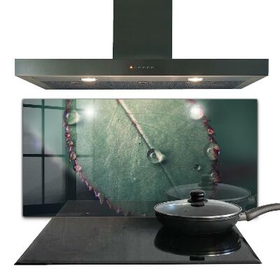 Konyhai hátfal panel Cseppvizes levél mintázat