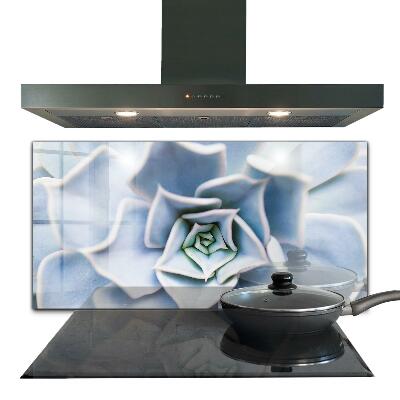 Konyhai hátfal panel Szukulent virág mintázat