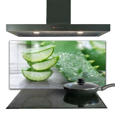 Konyhai fali panel Aloe vera levelek